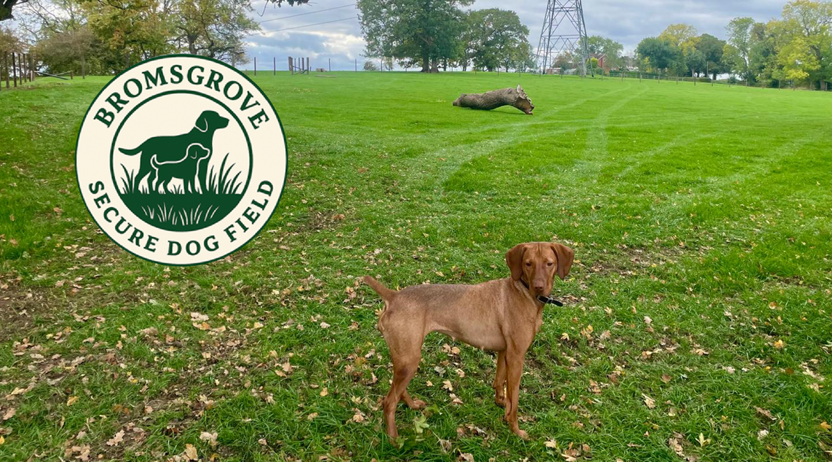 Bromsgrove Secure Dog Field